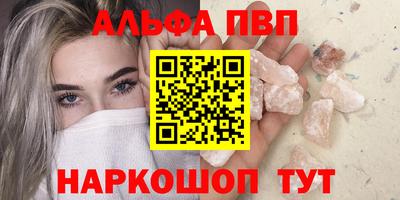 крисы Моздок